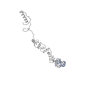 4655_6qvk_8z_v1-0
The cryo-EM structure of bacteriophage phi29 prohead