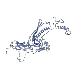 4655_6qvk_9A_v1-0
The cryo-EM structure of bacteriophage phi29 prohead