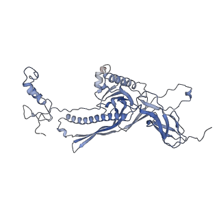 4655_6qvk_9C_v1-0
The cryo-EM structure of bacteriophage phi29 prohead
