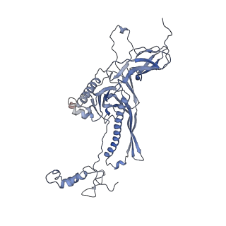 4655_6qvk_9D_v1-0
The cryo-EM structure of bacteriophage phi29 prohead