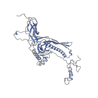 4655_6qvk_9E_v1-0
The cryo-EM structure of bacteriophage phi29 prohead