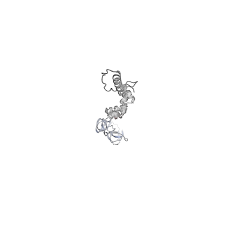 4655_6qvk_9M_v1-0
The cryo-EM structure of bacteriophage phi29 prohead