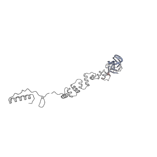 4655_6qvk_9P_v1-0
The cryo-EM structure of bacteriophage phi29 prohead