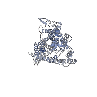 4657_6qvu_B_v1-1
CryoEM structure of the human ClC-1 chloride channel, low pH