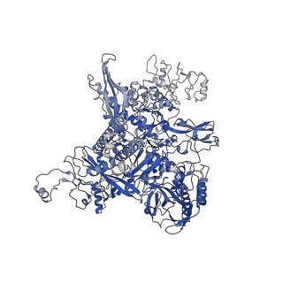 14190_7qwp_C_v1-1
CryoEM structure of bacterial transcription close complex (RPc)