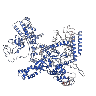 14190_7qwp_D_v1-1
CryoEM structure of bacterial transcription close complex (RPc)