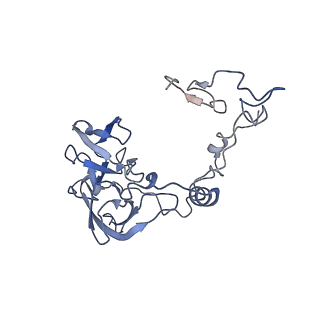 14191_7qwq_A_v1-1
Ternary complex of ribosome nascent chain with SRP and NAC