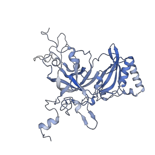 14191_7qwq_B_v1-1
Ternary complex of ribosome nascent chain with SRP and NAC