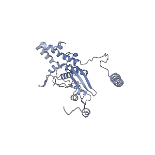 14191_7qwq_D_v1-1
Ternary complex of ribosome nascent chain with SRP and NAC