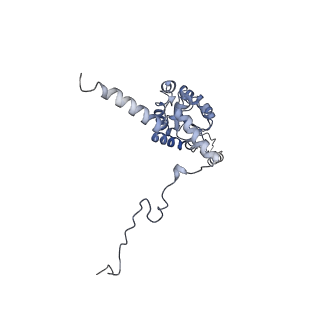 14191_7qwq_G_v1-1
Ternary complex of ribosome nascent chain with SRP and NAC