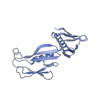 14191_7qwq_H_v1-1
Ternary complex of ribosome nascent chain with SRP and NAC
