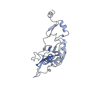 14191_7qwq_I_v1-1
Ternary complex of ribosome nascent chain with SRP and NAC