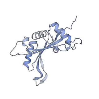 14191_7qwq_J_v1-1
Ternary complex of ribosome nascent chain with SRP and NAC
