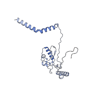 14191_7qwq_L_v1-1
Ternary complex of ribosome nascent chain with SRP and NAC