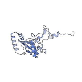 14191_7qwq_N_v1-1
Ternary complex of ribosome nascent chain with SRP and NAC