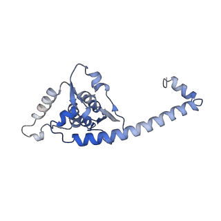 14191_7qwq_O_v1-1
Ternary complex of ribosome nascent chain with SRP and NAC