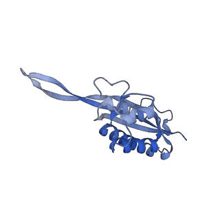 14191_7qwq_P_v1-1
Ternary complex of ribosome nascent chain with SRP and NAC