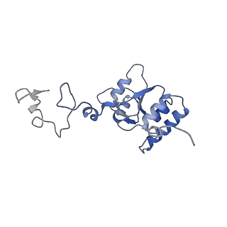 14191_7qwq_Q_v1-1
Ternary complex of ribosome nascent chain with SRP and NAC