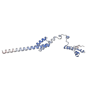 14191_7qwq_R_v1-1
Ternary complex of ribosome nascent chain with SRP and NAC