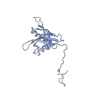 14191_7qwq_S_v1-1
Ternary complex of ribosome nascent chain with SRP and NAC