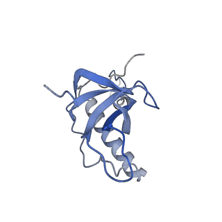 14191_7qwq_Z_v1-1
Ternary complex of ribosome nascent chain with SRP and NAC