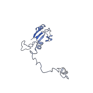 14191_7qwq_a_v1-1
Ternary complex of ribosome nascent chain with SRP and NAC