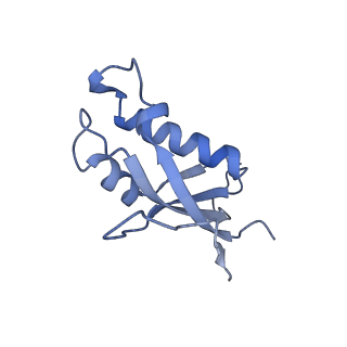 14191_7qwq_d_v1-1
Ternary complex of ribosome nascent chain with SRP and NAC