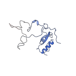 14191_7qwq_e_v1-1
Ternary complex of ribosome nascent chain with SRP and NAC