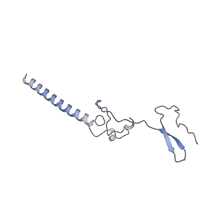 14191_7qwq_g_v1-1
Ternary complex of ribosome nascent chain with SRP and NAC