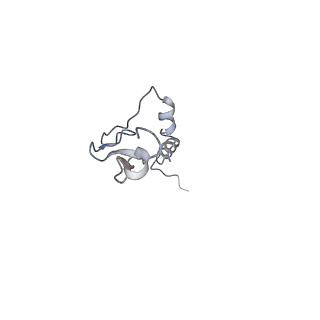 14191_7qwq_j_v1-1
Ternary complex of ribosome nascent chain with SRP and NAC