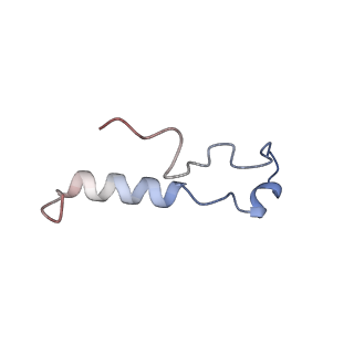 14191_7qwq_l_v1-1
Ternary complex of ribosome nascent chain with SRP and NAC