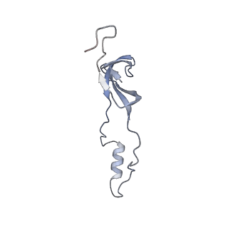 14191_7qwq_o_v1-1
Ternary complex of ribosome nascent chain with SRP and NAC