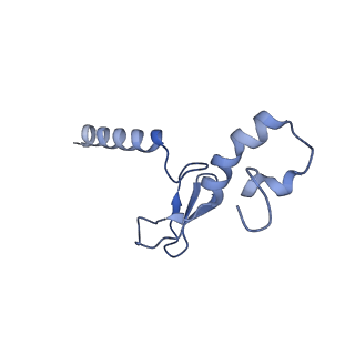 14191_7qwq_p_v1-1
Ternary complex of ribosome nascent chain with SRP and NAC