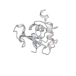 14191_7qwq_q_v1-1
Ternary complex of ribosome nascent chain with SRP and NAC