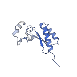 14191_7qwq_r_v1-1
Ternary complex of ribosome nascent chain with SRP and NAC