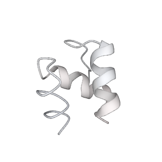 14191_7qwq_t_v1-1
Ternary complex of ribosome nascent chain with SRP and NAC