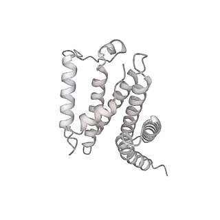 14191_7qwq_v_v1-1
Ternary complex of ribosome nascent chain with SRP and NAC