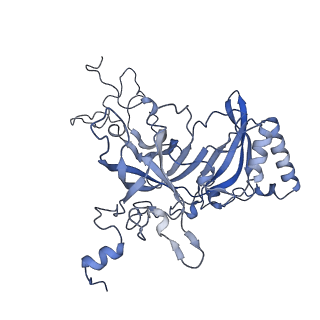 14192_7qwr_B_v1-1
Structure of the ribosome-nascent chain containing an ER signal sequence in complex with NAC