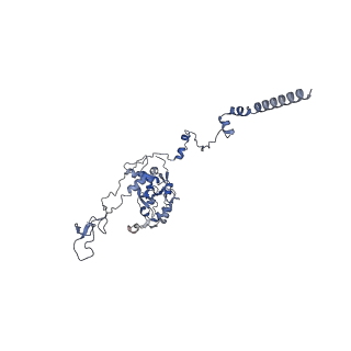 14192_7qwr_C_v1-1
Structure of the ribosome-nascent chain containing an ER signal sequence in complex with NAC