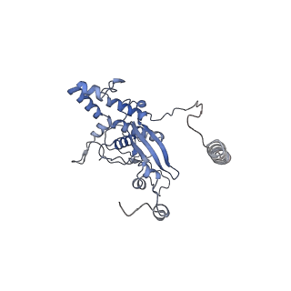 14192_7qwr_D_v1-1
Structure of the ribosome-nascent chain containing an ER signal sequence in complex with NAC