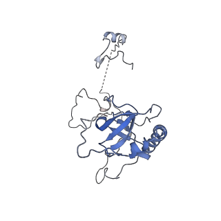 14192_7qwr_E_v1-1
Structure of the ribosome-nascent chain containing an ER signal sequence in complex with NAC