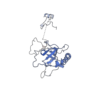 14192_7qwr_E_v2-0
Structure of the ribosome-nascent chain containing an ER signal sequence in complex with NAC