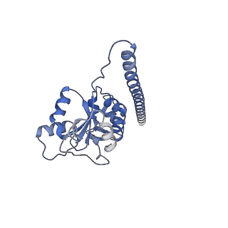 14192_7qwr_F_v1-1
Structure of the ribosome-nascent chain containing an ER signal sequence in complex with NAC