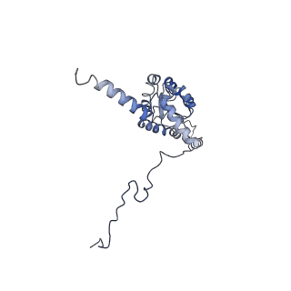 14192_7qwr_G_v1-1
Structure of the ribosome-nascent chain containing an ER signal sequence in complex with NAC