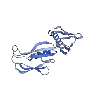 14192_7qwr_H_v1-1
Structure of the ribosome-nascent chain containing an ER signal sequence in complex with NAC