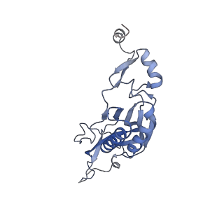 14192_7qwr_I_v1-1
Structure of the ribosome-nascent chain containing an ER signal sequence in complex with NAC