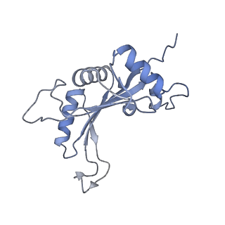 14192_7qwr_J_v1-1
Structure of the ribosome-nascent chain containing an ER signal sequence in complex with NAC
