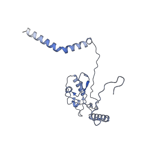 14192_7qwr_L_v1-1
Structure of the ribosome-nascent chain containing an ER signal sequence in complex with NAC