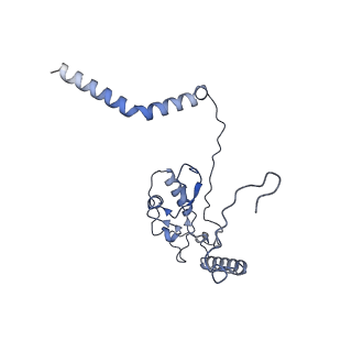 14192_7qwr_L_v2-0
Structure of the ribosome-nascent chain containing an ER signal sequence in complex with NAC