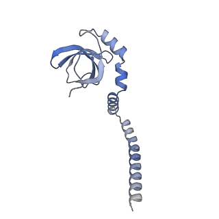 14192_7qwr_M_v1-1
Structure of the ribosome-nascent chain containing an ER signal sequence in complex with NAC